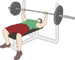 one repetition maximum bench press test