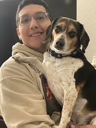 Lost Dog in Apple Valley Found with Community Help