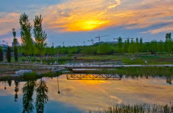 A great work of art. Beautiful Scenery Of The Evening Stock Image Image Of Crane Bridge 19429239