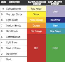 Underlying Pigments In Hair Lajoshrich Com