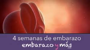 4 Semanas De Embarazo Primer Mes Embarazoymas