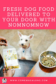 Listed a trip for a service dog for a trip from florida to new york and had 5 quotes within 15 minutes. Purchase Fresh Dog Food Delivery Service Up To 69 Off