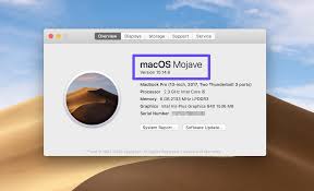 Macos 10.6 owners have to run the following command: Wie Man Den Dns Cache Leert Windows Mac Chrome