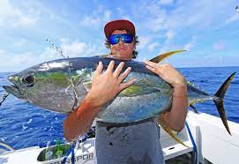 We did not find results for: The Beginner S Guide To Gamefishing Nz Fishing World