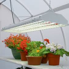 How To Select The Best Grow Light For Indoor Growing Urban Organic Gardener