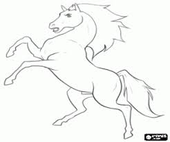 Coloring page with high details. A Horse Standing On Rear Legs Coloring Page Printable Game