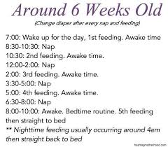 Birth To 6 Months Baby Schedule Baby Schedule Baby Month By Month 6 Month Baby