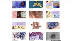 Check spelling or type a new query. 4vsbyyrsejrdem