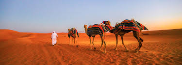Overlook the beautiful virgin mountains and virgin river on your ride, led by an experienced camel safari handler. All Dubai Desert Safari Tours The Ultimate Guide