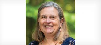 Augenhöhecamps durchführen