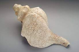 Well you're in luck, because here they come. Making A Conch Shell Trumpet In 2021 Conch Shell Shells Conch