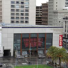 Image result for Sutera levis