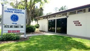 At boulder and northside emergency pet clinics, your pet's paws are in good hands. Home Veterinarian In Gainesville Fl Gainesville Animal Hospital Gainesville Animal Hospital Veterinarian In Gainesville Fl Us