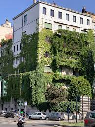 Get the forecast for today, tonight & tomorrow's weather for milan, mo. Milan Italy Natural Green Wall Green Wall Green Facade Green Roof