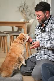 Apr 01, 2021 · san mateo county began its paramedic emergency ambulance service program almost 30 years ago. Lotus Veterinary