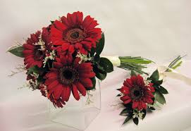 Gerbera Daisy Bridal Bouquet Pizazz Florals Blog Daisy Wedding Flowers Red Bouquet Wedding Gerbera Daisy Wedding