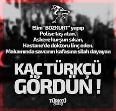 Sevil Ay Adli Kullanicinin Bozkurt Panosundaki Pin Goruntuler Ile Guzel Soz Anlamli Alintilar Ozlu Sozler