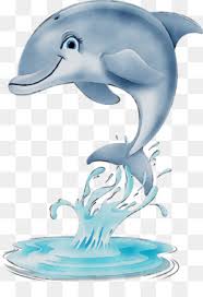 Perkawinan ikan hiu yang mengerikan. Whale Cartoon 640 427 Transprent Png Free Download Dolphin Seals Fin Cleanpng Kisspng