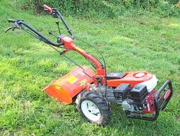 Motoculteur Goldoni Twist 6 Motoculteur Motobineuse Electrique Location