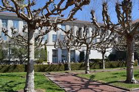 How Competitive Is Uc Berkeley S Admissions Process With Images Financial Aid Financial Aid For College Grants For College