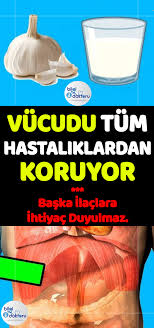 Pin On Alternatif Tip