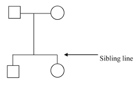 basic pedigree lines iowa institute of human genetics