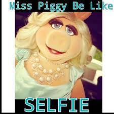 Miss Piggy Meme Miss Piggy Meme Miss Piggy Miss Piggy Quotes