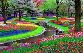 Olanda international offers oral oil for people with chronic insomnia, anxiety and attention disorders, with an exclusive formula for hong kong people. Parcul Keukenhof Din Olanda Cea Mai Mare GrÄƒdinÄƒ De Flori Din Lume S A Deschis Publiculu Beautiful Places In The World Most Beautiful Places Beautiful Places