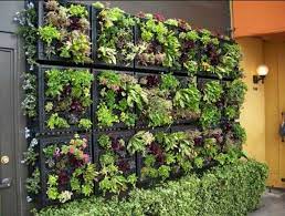 Browse these garden wall ideas now for inspiration on how to transform your outdoor space with help from landscaping experts at marshalls. Vertical Garden Design Adding Natural Look To House Exterior And Interior Decorating