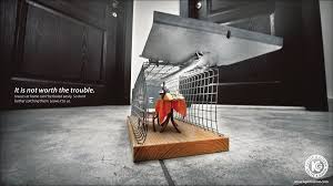 Finding great pest control doesn't have to be a hard process. Kg Pest Control Dinner Ads Of The World Creative Advertising Campaign Pest Control Print Advertising