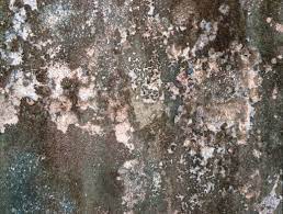 Water leak problem mostly occurs uder what is water leakage from ceiling? Wall Leakage 7 Common Causes Of Brick Leaks Go Smart Bricks