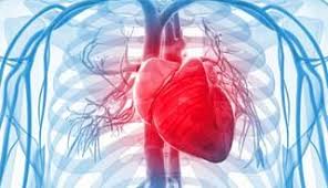 Two ways that hostility can affect the body are through stress on the heart and. Stem Cell Treatment Cardiovascular Disease Heart Disease Ischemia Cardiac Stem Cells Myocardium Costa Rica Treatment