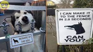 Cute beware of dog 6 x 6 weather resistance aluminum sign. Beware Of Dog Signs That Will Make You Laugh Youtube