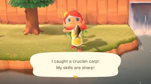 Crucian Carp - Animal Crossing: New Horizons Guide - Ign