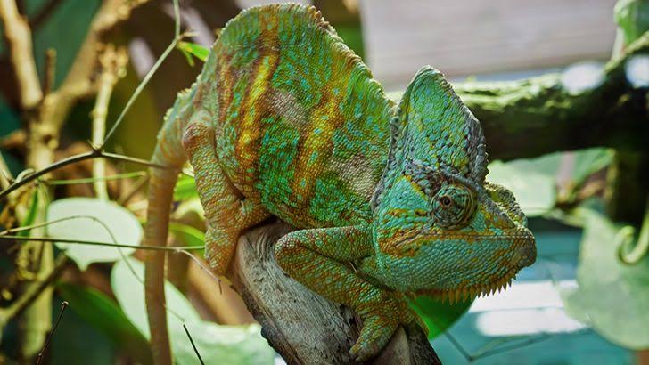 HPE Helion assets to boost SUSE -