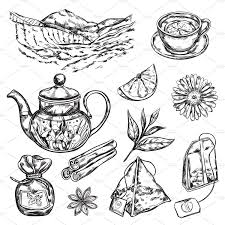 Herbal Tea Teapot Tea Illustration Teapot Drawing Tea Pots