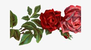 His own gardens at the red house in kent, kelmscott manor in oxfordshire and elsewhere; Drawn Red Rose Tumblr Banner Red Rose Crown Transparent Background Png Image Transparent Png Free Download On Seekpng