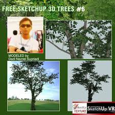 Sketchup Texture Free Sketchup 3d Model Tree 6 Model Tree Model 3d Model