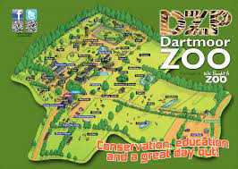 Zoo Map Dartmoor Zoo Zoo Map Fun Places To Go Dartmoor