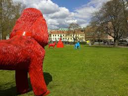 Red Dogs Red Dog Standard Poodle Bones Funny