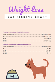 A practical guideline is that kittens should be fed three times a day from weaning (3 to 6 weeks) to 4 months of age. Pin On Cat