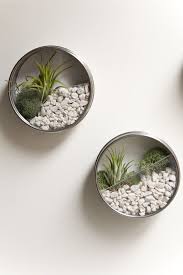 Diy Wall Terrarium In Cute Ikea Magnetic Spice Containers Ikea Hackers Air Plants Diy Wall Terrarium Mini Garden