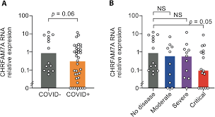 We did not find results for: Regulation Of The Acetylcholine A7nachr Anti Inflammatory Pathway In Covid 19 Patients Scientific Reports