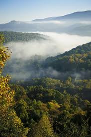 Trees in the west virginia mountains. Pin On Thru The Masters Lens