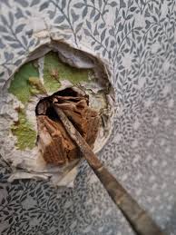 Image result for site:byggahus.se Dast