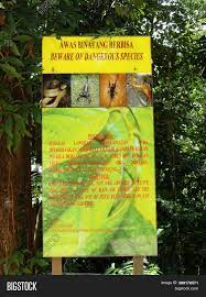 Taman eco rimba ni adalah sebuah hutan simpan yang terletak di bukit nanas, kuala lumpur. Kuala Lumpur Malaysia Image Photo Free Trial Bigstock