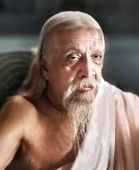 The Mother alone is your destination. She contains everything in herself.  To have her is to have everything. If you live in her Consciousness, there  will be an automatic flowering of