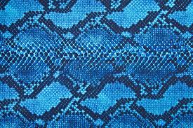 We did not find results for: Snake Prints Blue Black Spandex World