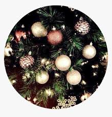Save this awesome collection to your christmas aesthetic board on pinterest! Aesthetic Background Christmas Tree Trees Light Lights Aesthetically Pleasing Christmas Backgrounds Hd Png Download Transparent Png Image Pngitem