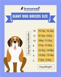 37 You Will Love Leonberger Weight Chart
